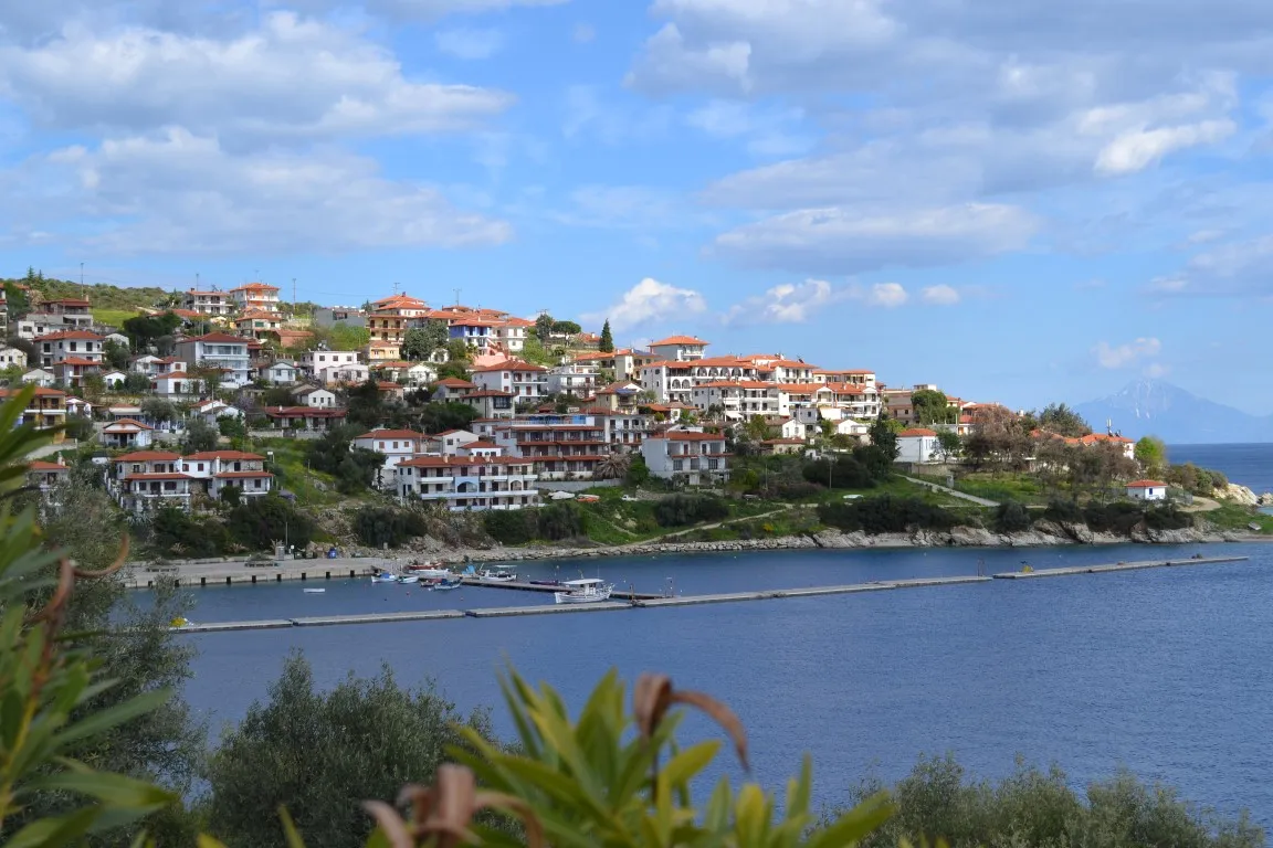 οικόπεδο προς πώληση 15000 τ.μ Αριστοτέλης Χαλκιδική