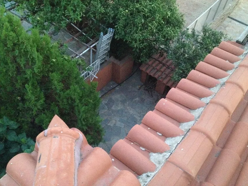 850