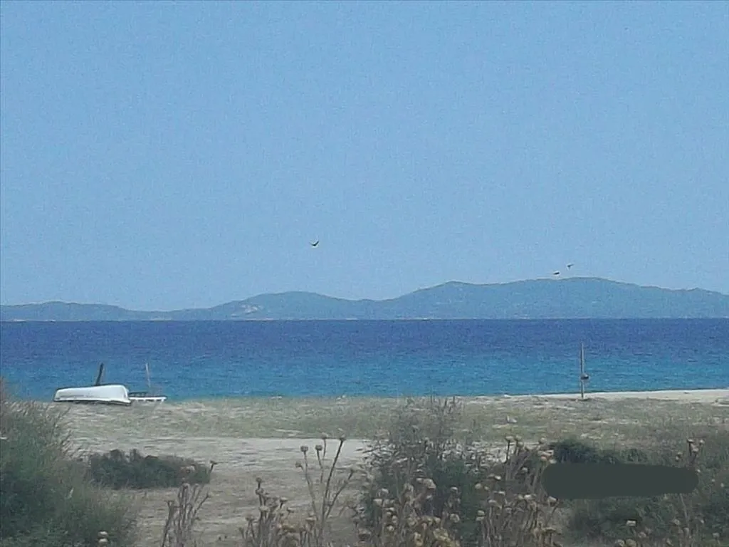 οικόπεδο προς πώληση 8000 τ.μ Αριστοτέλης Χαλκιδική