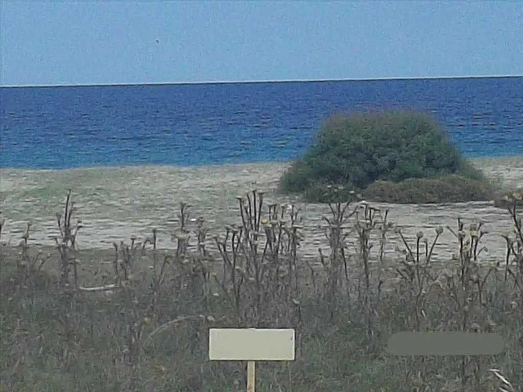 οικόπεδο προς πώληση 8000 τ.μ Αριστοτέλης Χαλκιδική