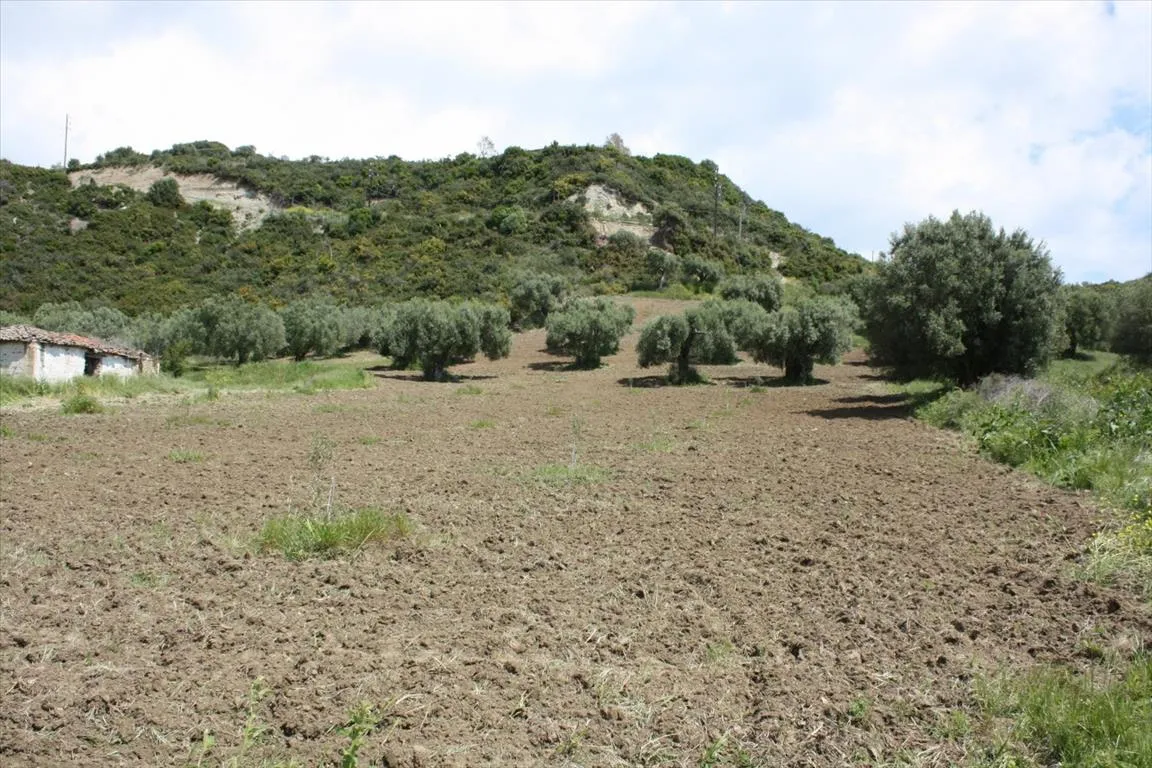 οικόπεδο προς πώληση 4700 τ.μ Κασσάνδρα Χαλκιδική
