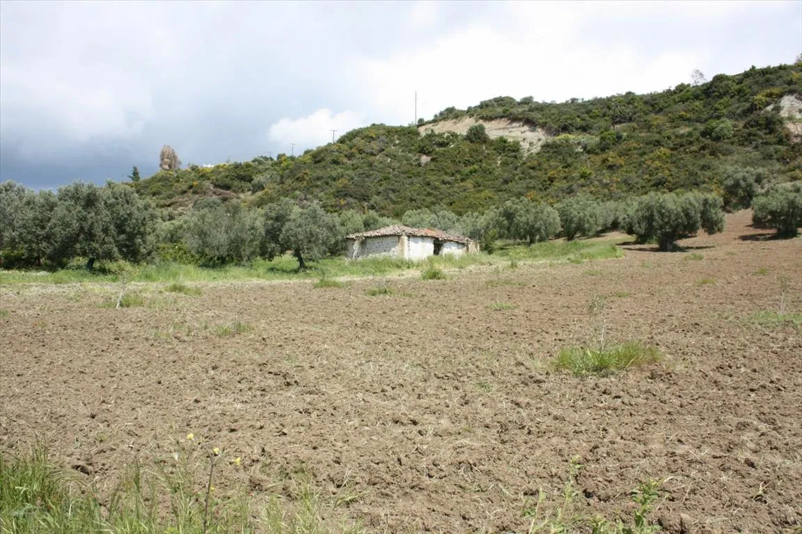 οικόπεδο προς πώληση 4700 τ.μ Κασσάνδρα Χαλκιδική