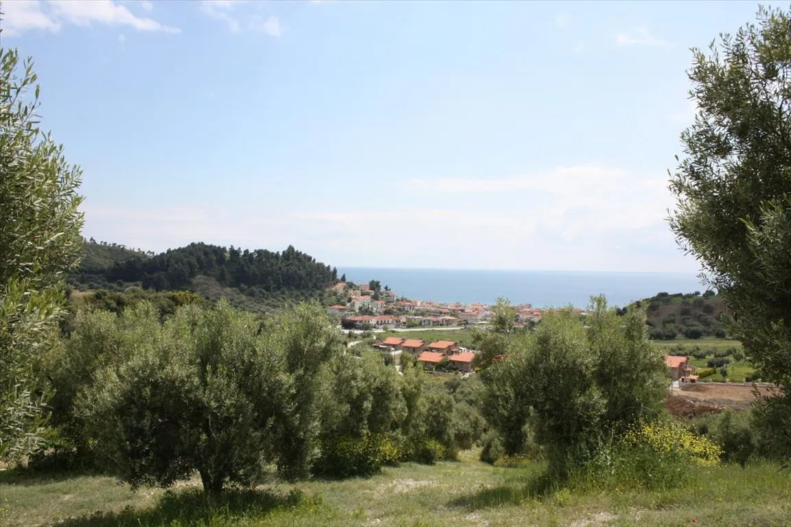 οικόπεδο προς πώληση 23000 τ.μ Κασσάνδρα Χαλκιδική