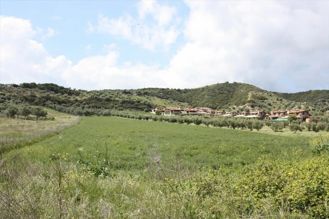 οικόπεδο προς πώληση 23000 τ.μ Κασσάνδρα Χαλκιδική