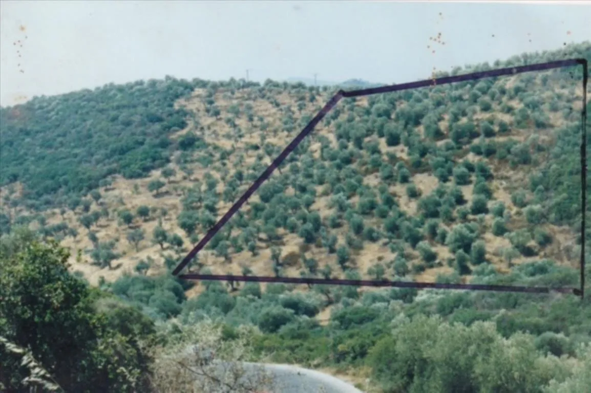 οικόπεδο προς πώληση 19160 τ.μ Αριστοτέλης Χαλκιδική