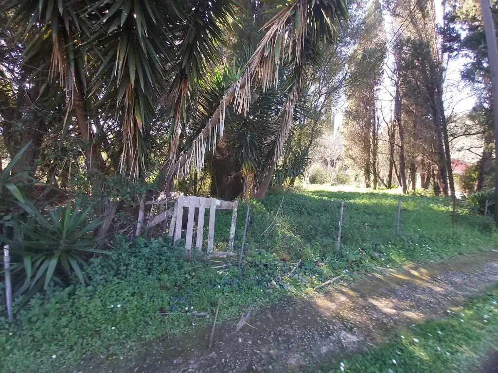 οικόπεδο προς πώληση 2770 τ.μ Κέρκυρα Νομός Κέρκυρας