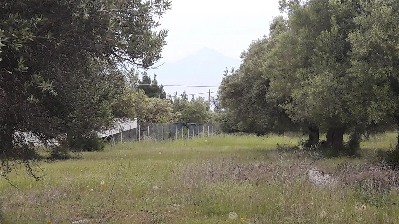 οικόπεδο προς πώληση 4002 τ.μ Σιθωνία Χαλκιδική