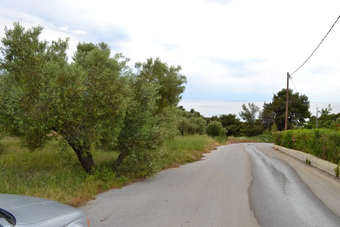 οικόπεδο προς πώληση 6012 τ.μ Κασσάνδρα Χαλκιδική
