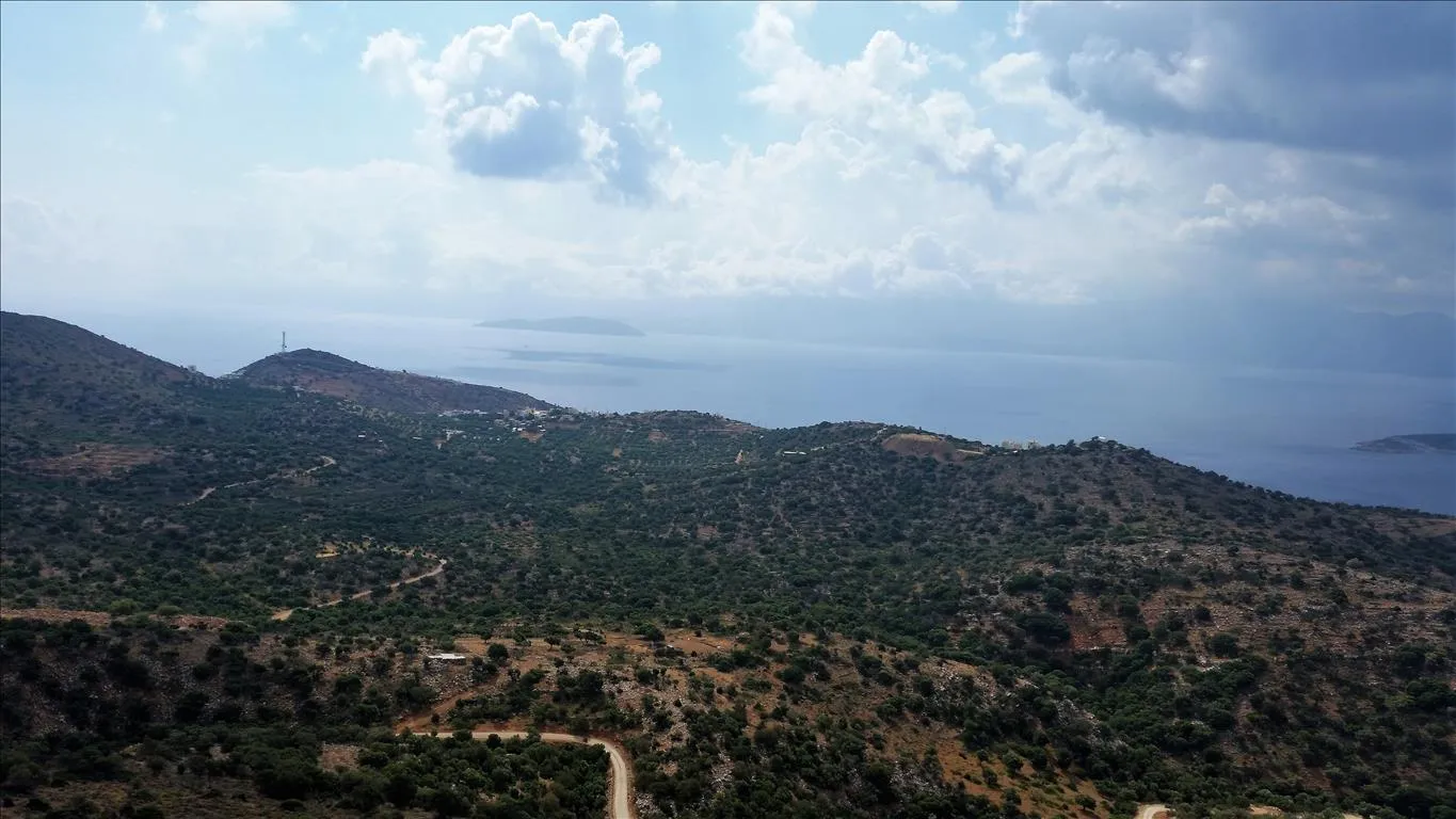 οικόπεδο προς πώληση 14240 τ.μ Άγιος Νικόλαος Νομός Λασιθίου
