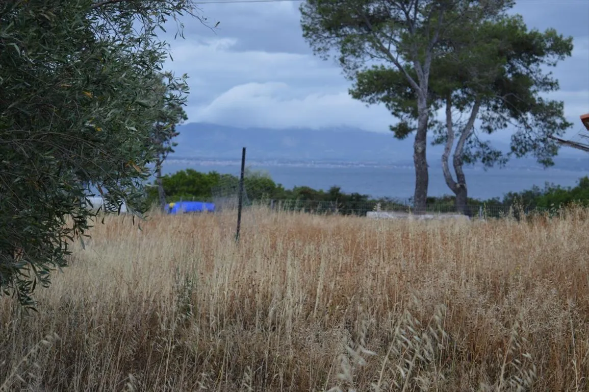 οικόπεδο προς πώληση 5693 τ.μ Λουτράκι-Περαχώρα Κορινθία
