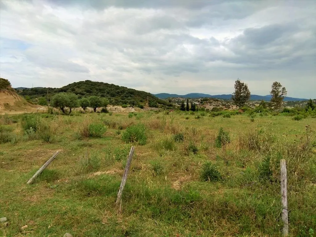 οικόπεδο προς πώληση 4750 τ.μ Αριστοτέλης Χαλκιδική
