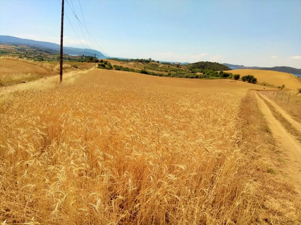 οικόπεδο προς πώληση 9000 τ.μ Αριστοτέλης Χαλκιδική