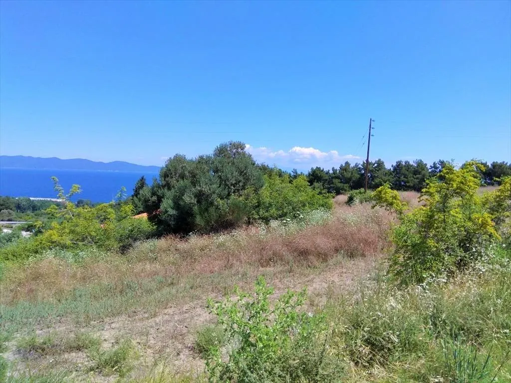 οικόπεδο προς πώληση 11000 τ.μ  Χαλκιδική