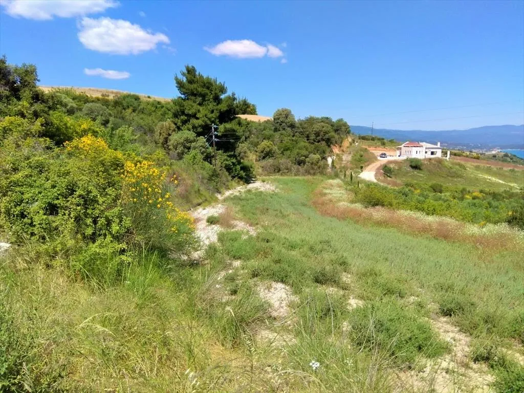 οικόπεδο προς πώληση 11000 τ.μ  Χαλκιδική
