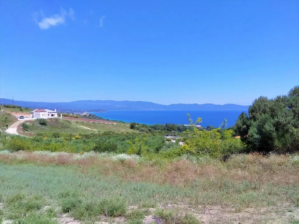 οικόπεδο προς πώληση 11000 τ.μ  Χαλκιδική