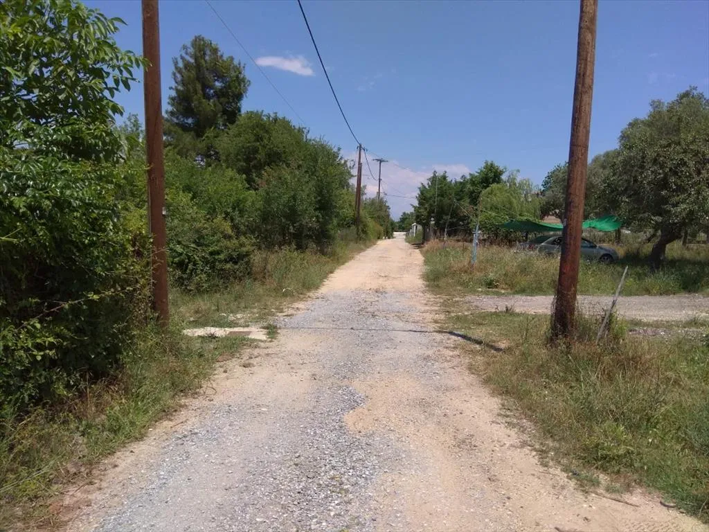 οικόπεδο προς πώληση 1354 τ.μ Αριστοτέλης Χαλκιδική