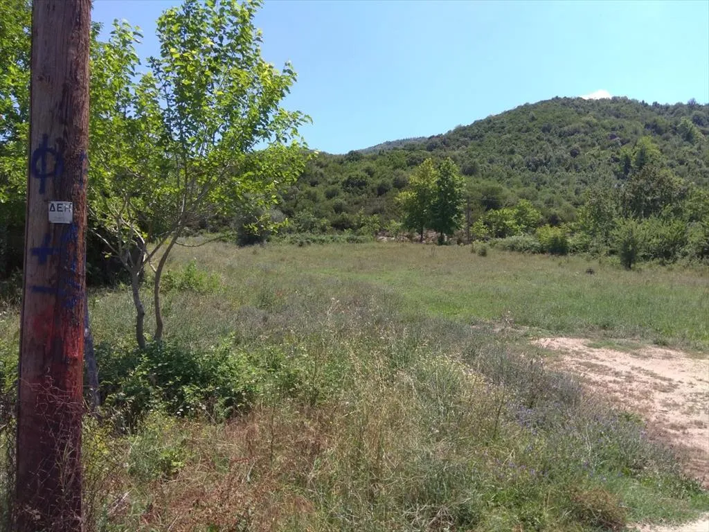 οικόπεδο προς πώληση 1354 τ.μ Αριστοτέλης Χαλκιδική