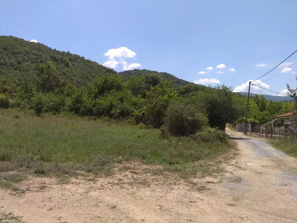 οικόπεδο προς πώληση 1354 τ.μ Αριστοτέλης Χαλκιδική