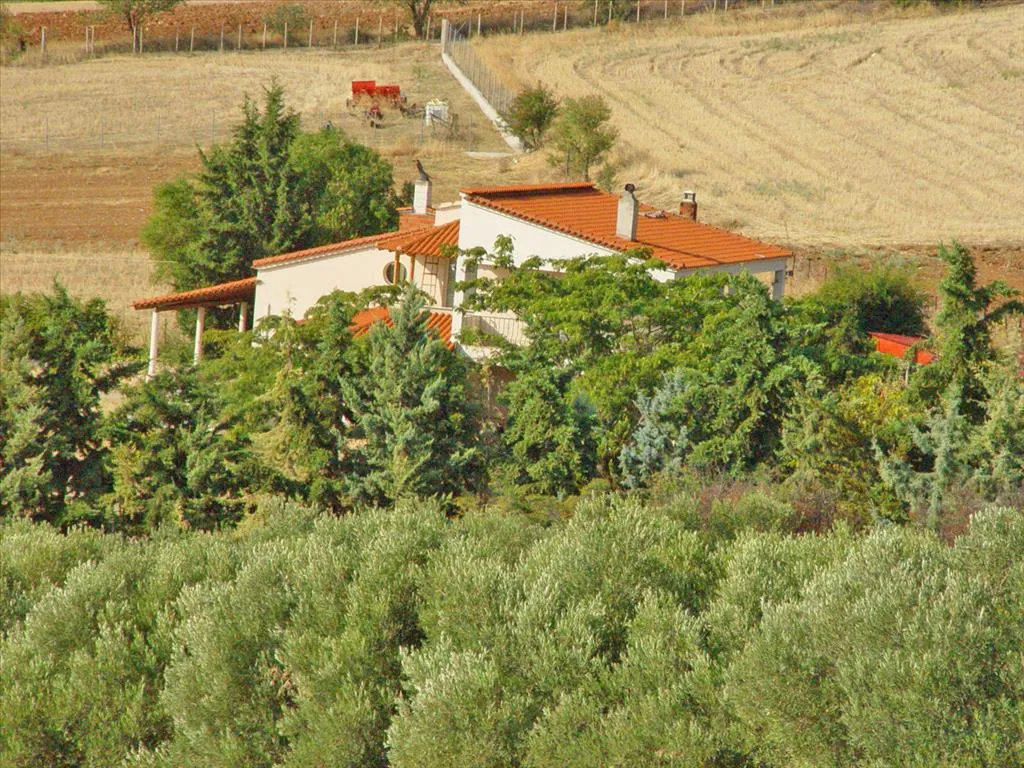 μονοκατοικία προς πώληση 360 τ.μ Πολύγυρος Χαλκιδική