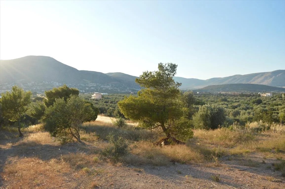 οικόπεδο προς πώληση 12600 τ.μ Παλαιά Φώκαια Υπόλοιπη Αττικής