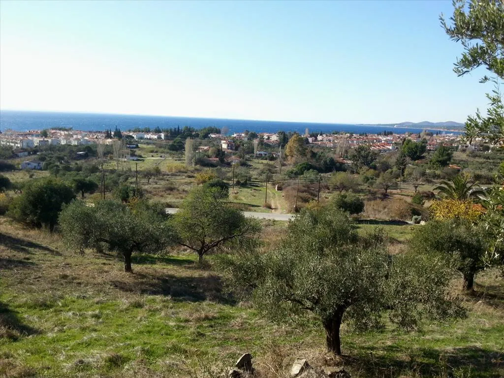 οικόπεδο προς πώληση 5000 τ.μ Σιθωνία Χαλκιδική