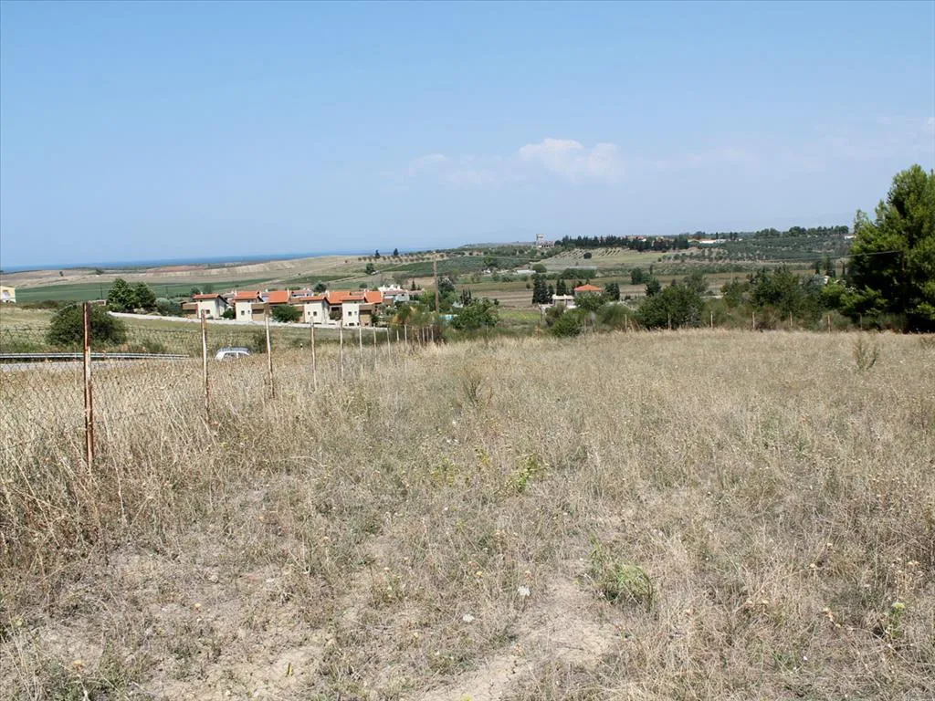 οικόπεδο προς πώληση 10000 τ.μ Κασσάνδρα Χαλκιδική