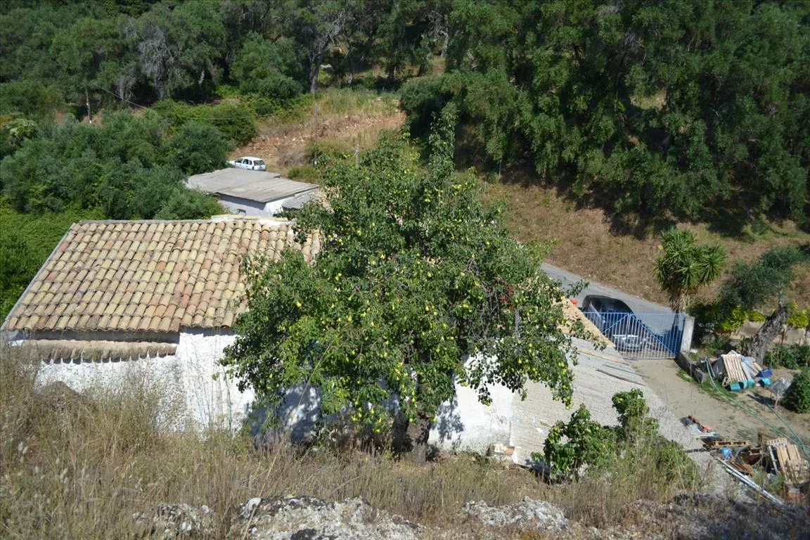 οικόπεδο προς πώληση 4450 τ.μ Κέρκυρα Νομός Κέρκυρας