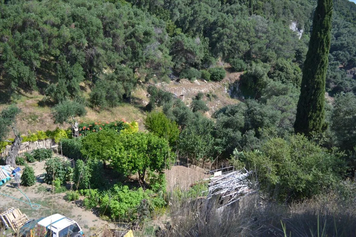 οικόπεδο προς πώληση 4450 τ.μ Κέρκυρα Νομός Κέρκυρας