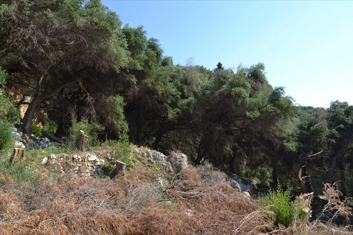 1152