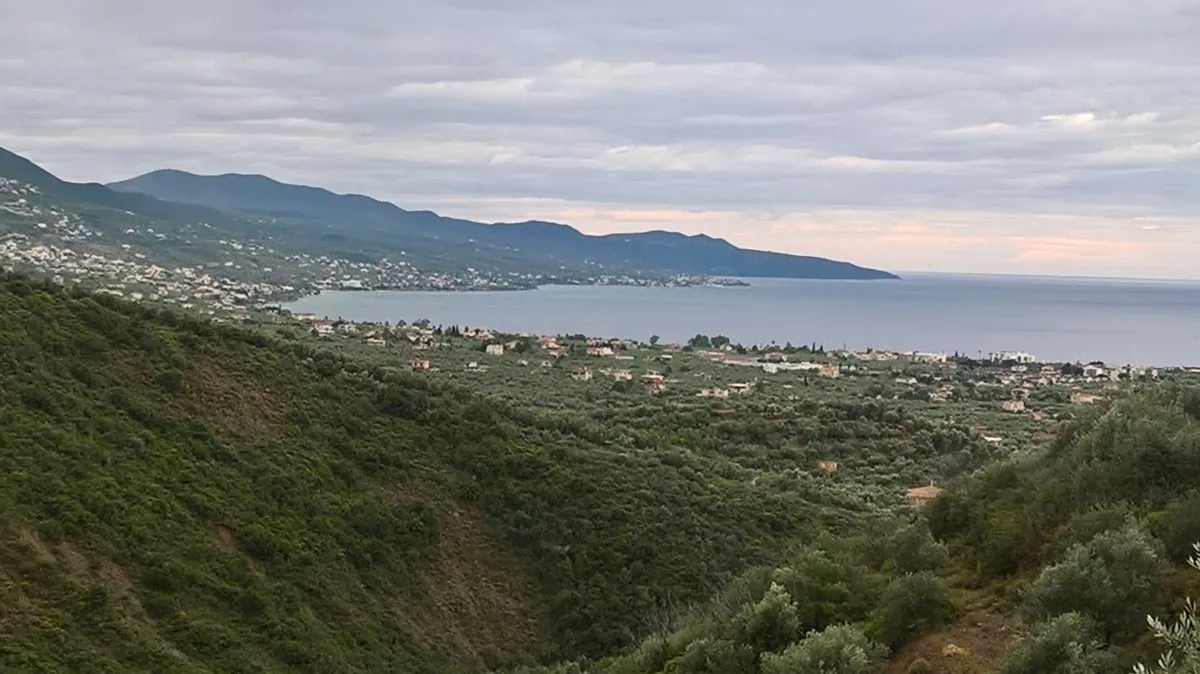 οικόπεδο προς πώληση 15500 τ.μ Καλαμάτα Μεσσηνία