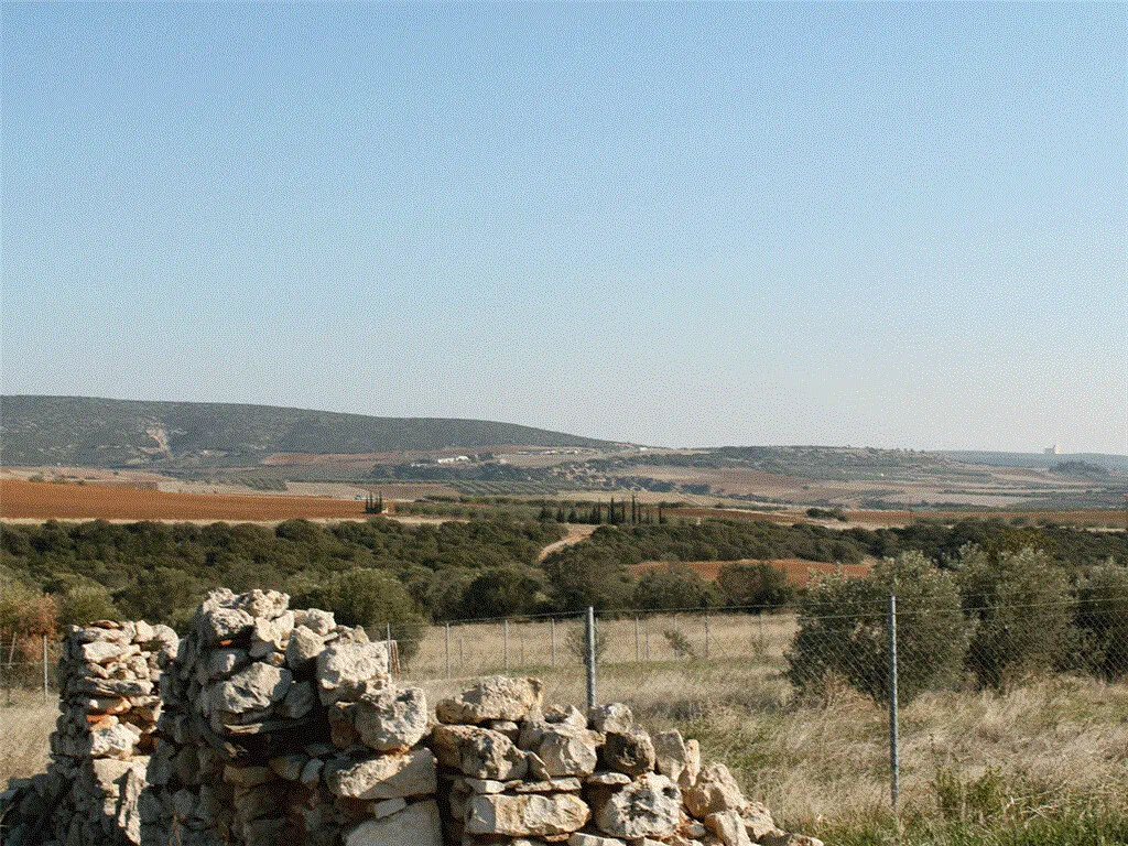 οικόπεδο προς πώληση  τ.μ  Χαλκιδική