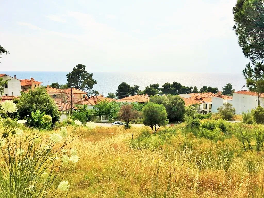 οικόπεδο προς πώληση 1330 τ.μ Κασσάνδρα Χαλκιδική