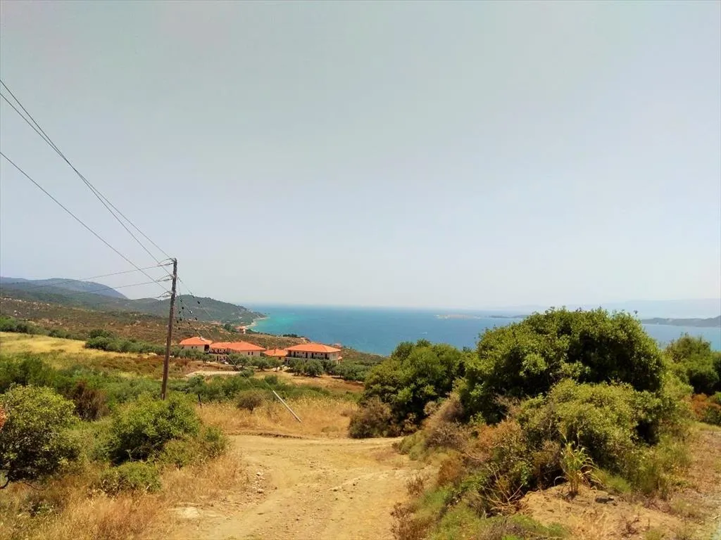 οικόπεδο προς πώληση 10750 τ.μ  Χαλκιδική