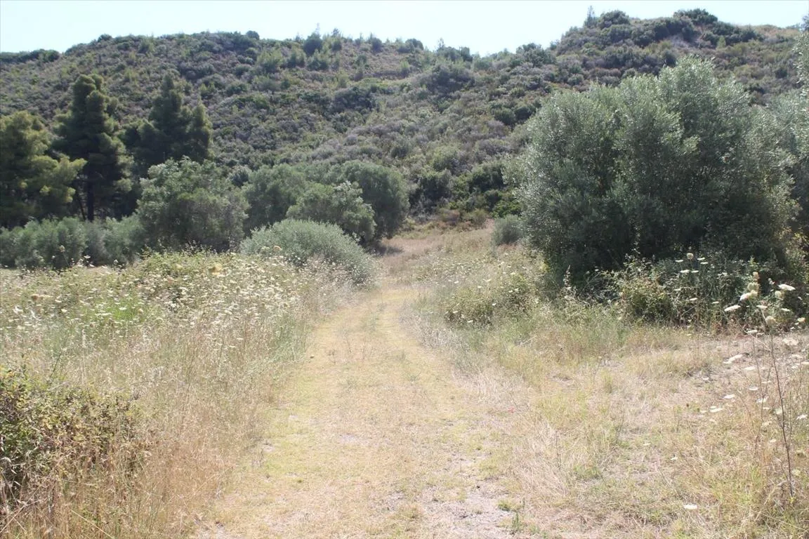1152