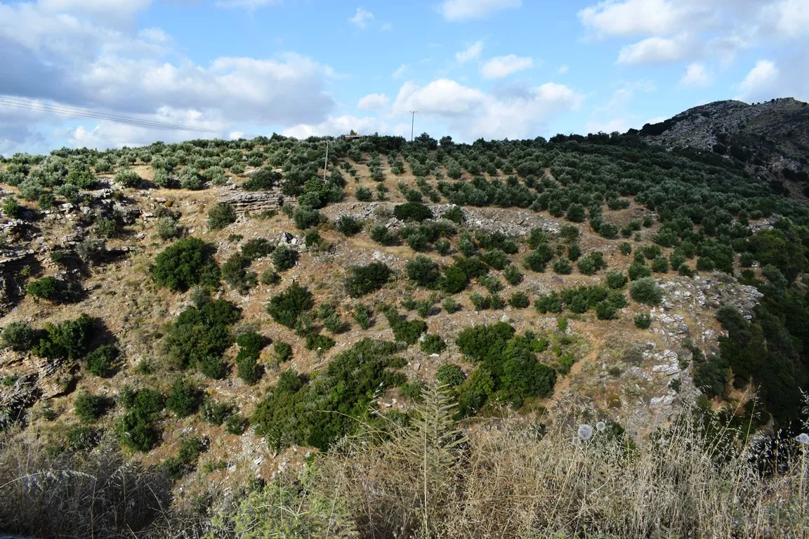 οικόπεδο προς πώληση 43000 τ.μ Ζωνιανά Νομός Ρεθύμνου