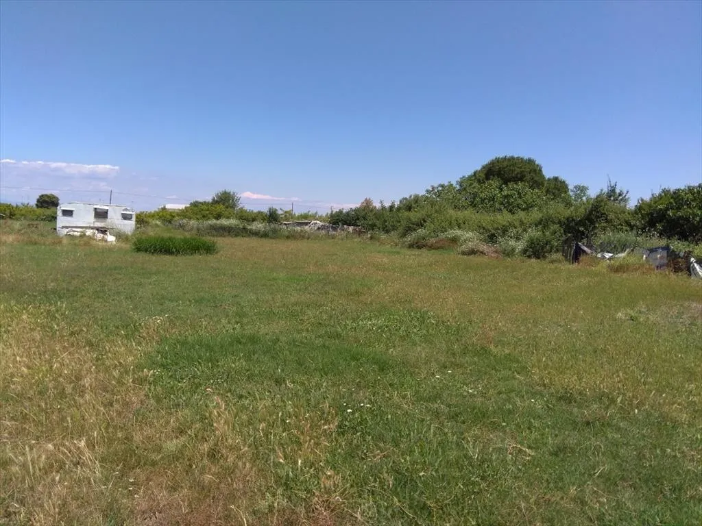 οικόπεδο προς πώληση 16800 τ.μ Αριστοτέλης Χαλκιδική