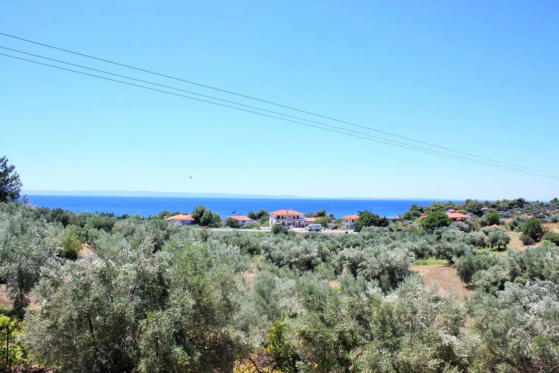 οικόπεδο προς πώληση 4000 τ.μ Σιθωνία Χαλκιδική