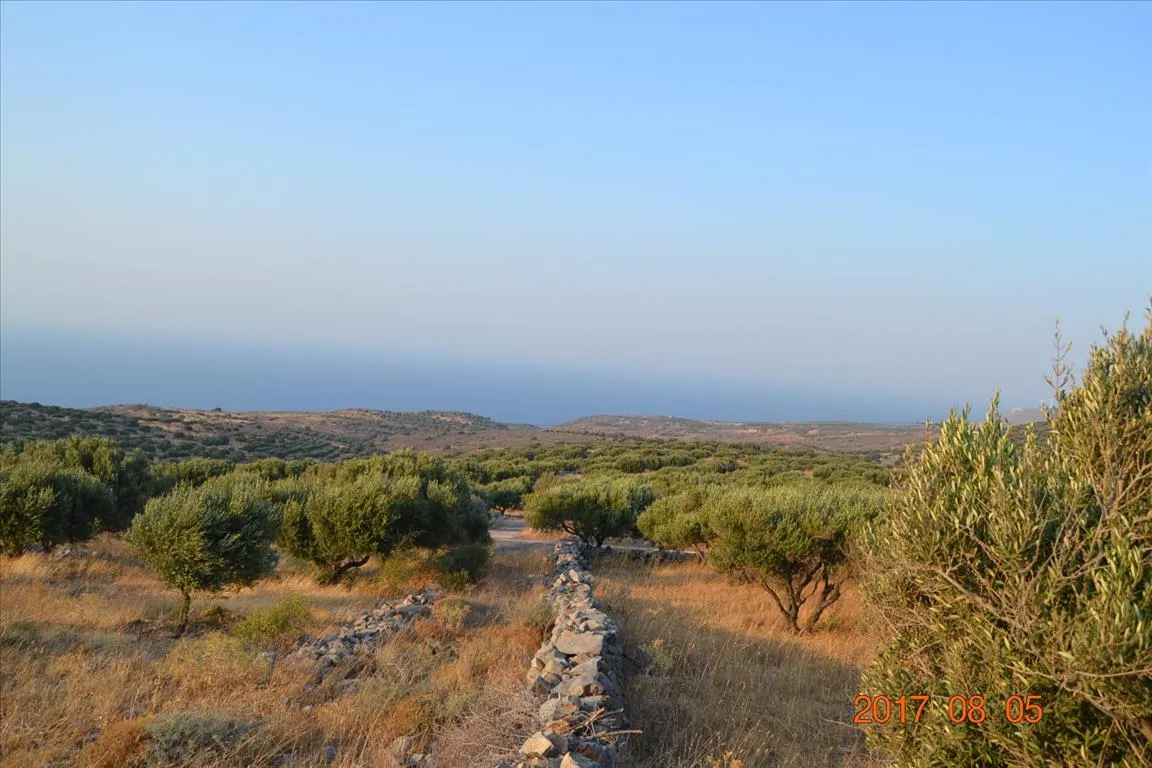 οικόπεδο προς πώληση 11000 τ.μ Άγιος Νικόλαος Νομός Λασιθίου