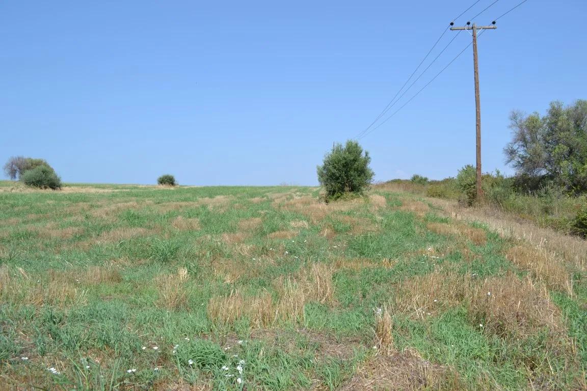 οικόπεδο προς πώληση 6000 τ.μ Κασσάνδρα Χαλκιδική