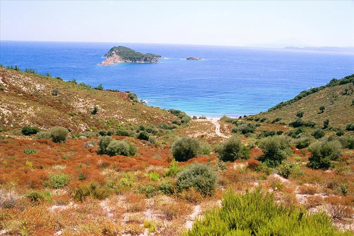 οικόπεδο προς πώληση 40687 τ.μ  Χαλκιδική