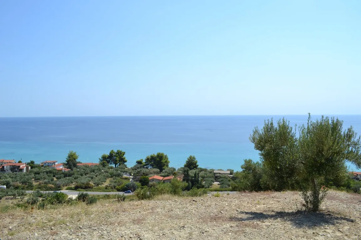 οικόπεδο προς πώληση 12300 τ.μ Κασσάνδρα Χαλκιδική