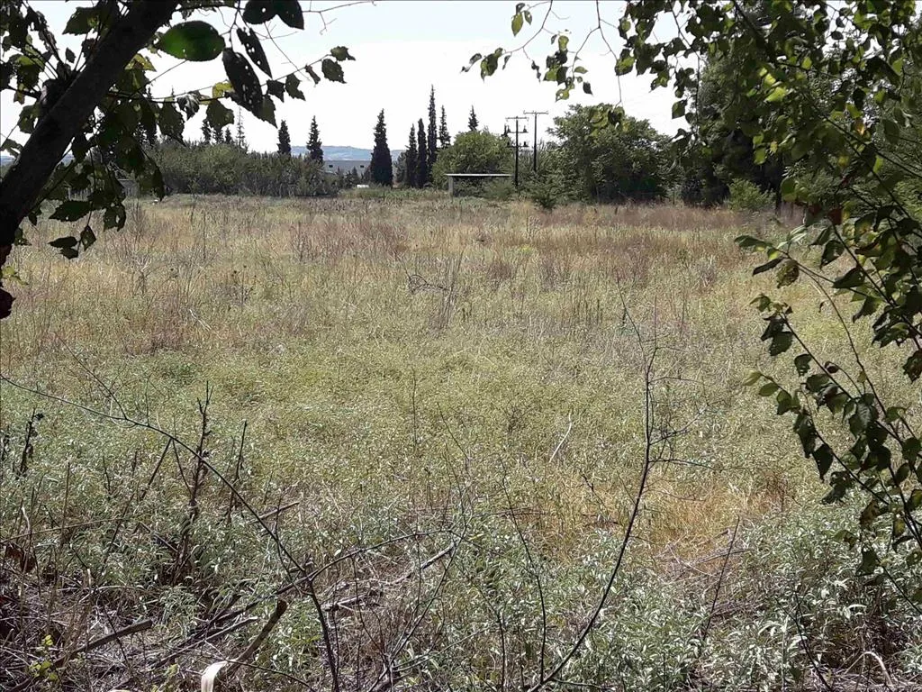 οικόπεδο προς πώληση 5908 τ.μ Θέρμη Προάστια Θεσσαλονίκης