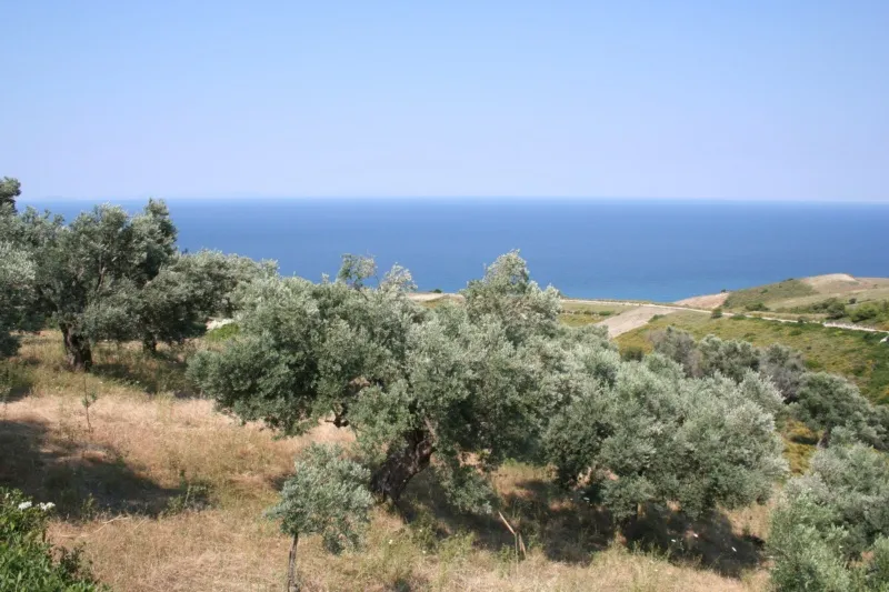 οικόπεδο προς πώληση 6250 τ.μ Ερέτρια Εύβοια