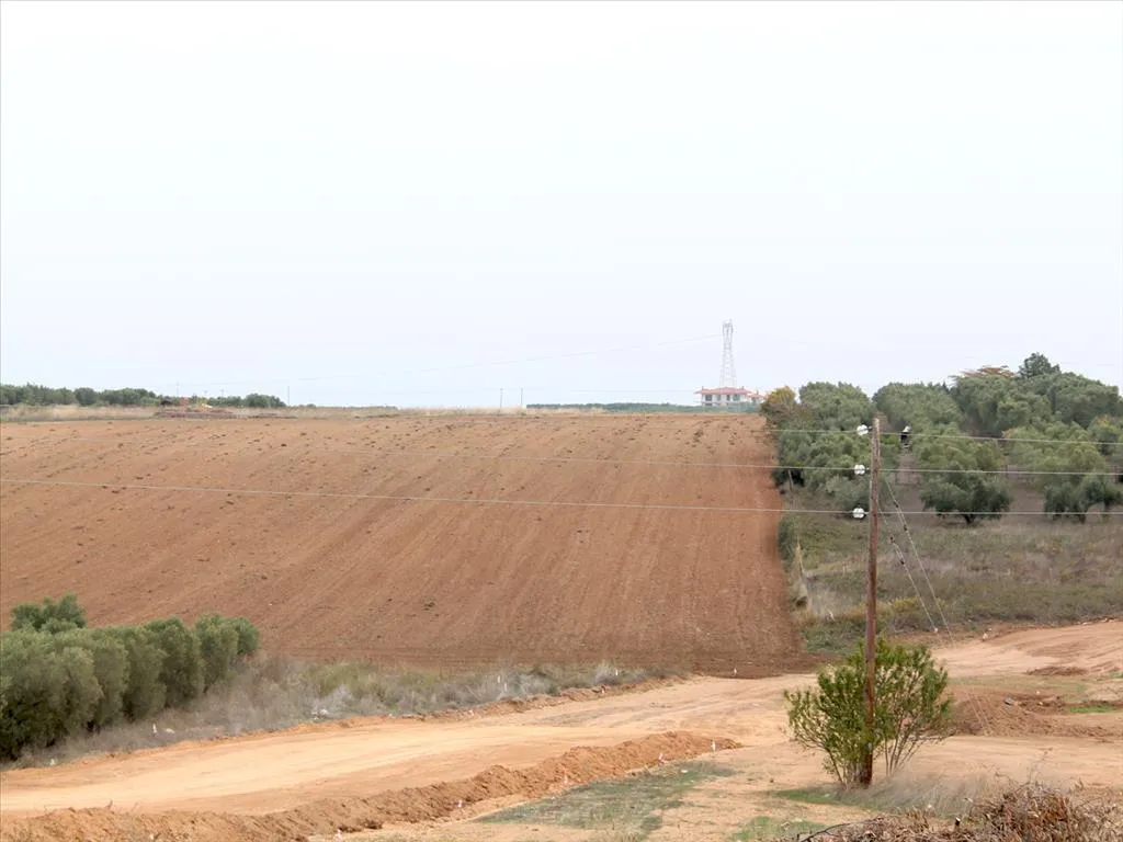 οικόπεδο προς πώληση 6200 τ.μ Κασσάνδρα Χαλκιδική