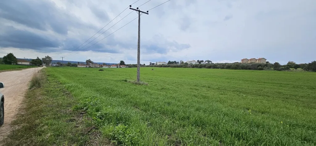 οικόπεδο προς πώληση 55000 τ.μ Κασσάνδρα Χαλκιδική