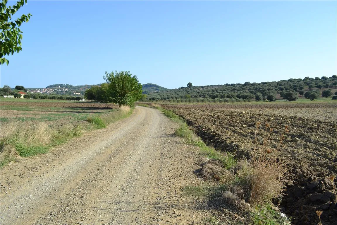οικόπεδο προς πώληση 10000 τ.μ Κασσάνδρα Χαλκιδική