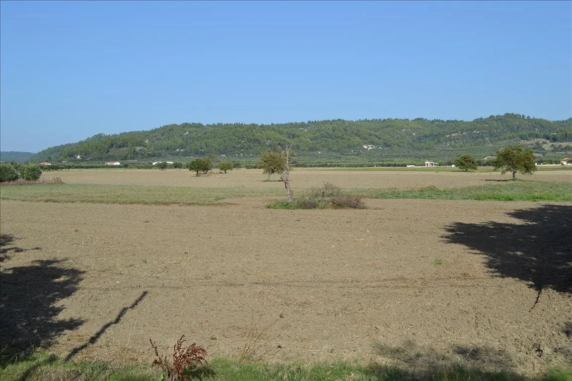 οικόπεδο προς πώληση 5500 τ.μ Κασσάνδρα Χαλκιδική