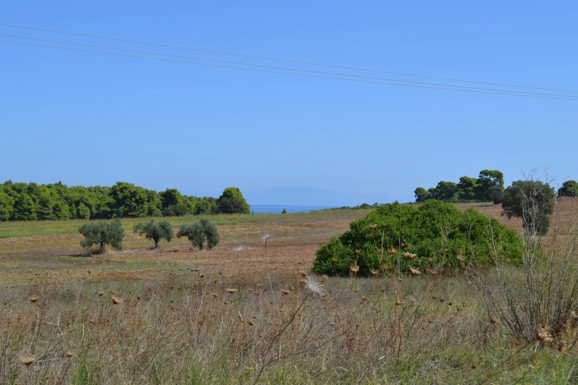 οικόπεδο προς πώληση 4380 τ.μ Κασσάνδρα Χαλκιδική