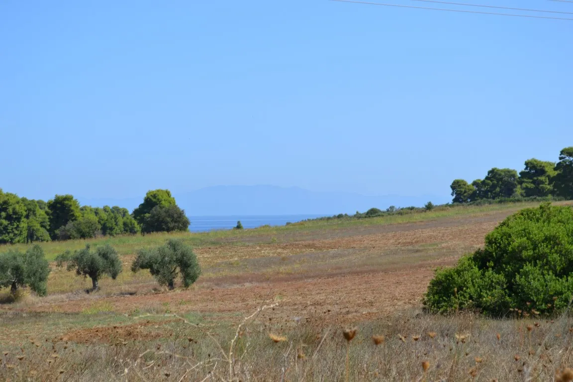 οικόπεδο προς πώληση 4380 τ.μ Κασσάνδρα Χαλκιδική