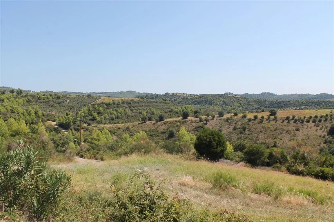 οικόπεδο προς πώληση 13000 τ.μ Κασσάνδρα Χαλκιδική